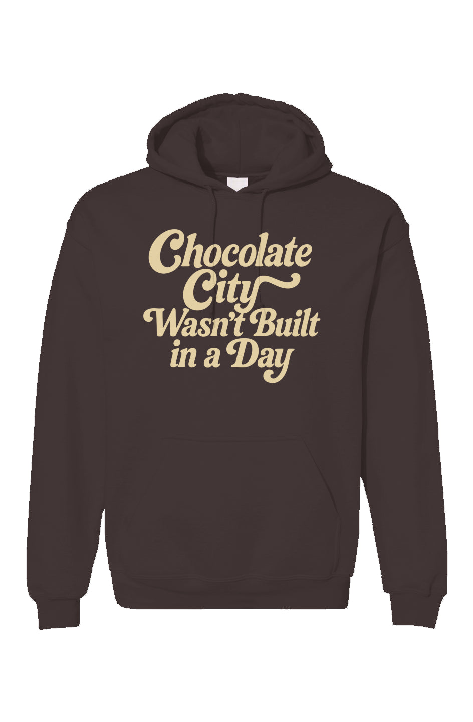 CHOCOLATE CITY WASN'T BUILT IN A DAY HOODIE