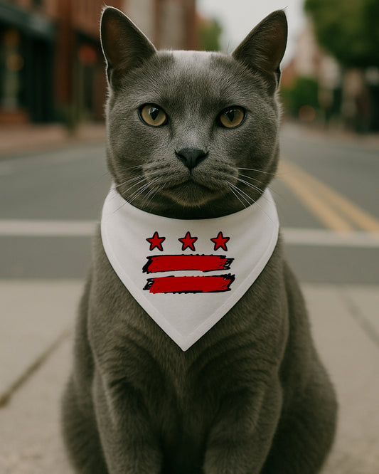 ABSTRACT DC PET BANDANA